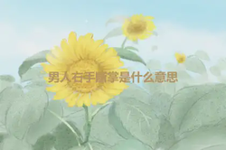 男人右手斷掌是什麼意思
