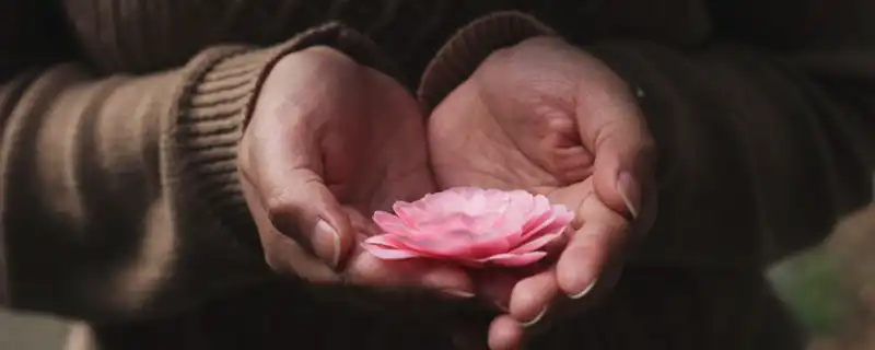 中晚年一夜暴富手紋 後半生有錢的手相特徵