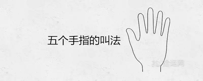 五個手指的叫法 手相中代表什麼意思