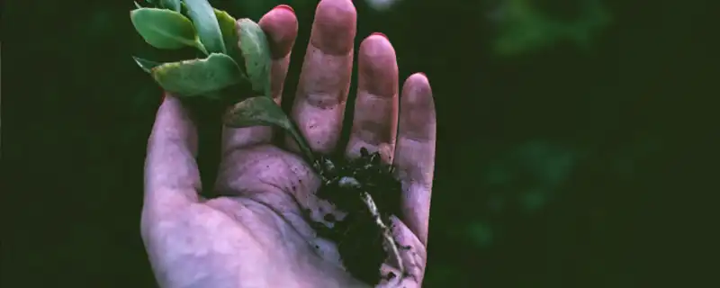 出軌的男人手相線什麼樣的圖解
