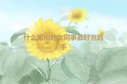 什么面相的女同事最好泡到手