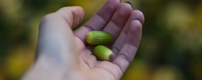 生命線繞到大拇指後方有什麼說法