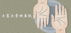 大富大貴坎魚紋手相特徵詳細解析