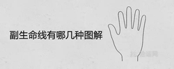 副生命線有哪幾種圖解 意味著什麼手相寓意