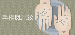 手相鳳尾紋幾種寓意 有什麼說法