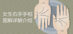 掌紋圖解女右手詳解介紹