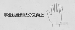事業線像樹枝分叉向上的手相解析