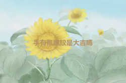 手有鳳眼紋是大吉嗎