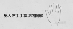 男人左手手掌紋路圖解
