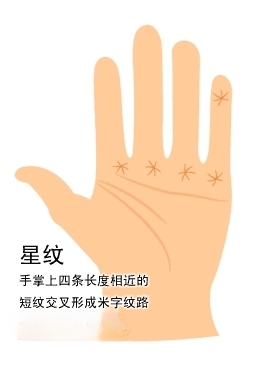 星紋